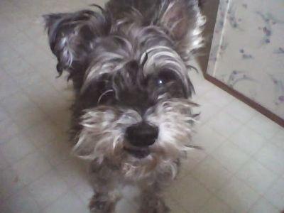 HoldGigisdonuts's profile picture. Texas born & bred.  Full time animal lover & Gorl World enthusiast.