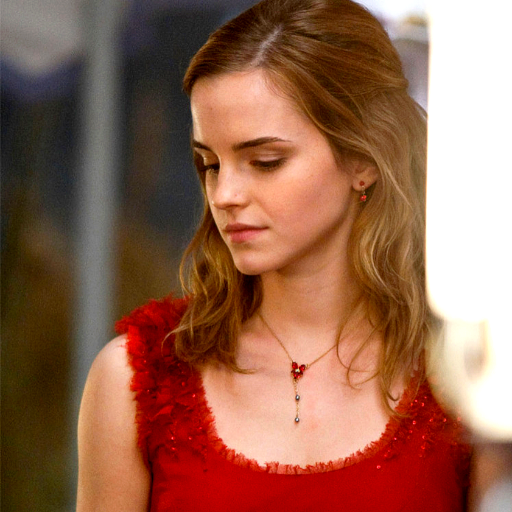 Grangerclan's profile picture. Nacida de muggles. Estudiante de sexto año en @hogwartssite en Gryffindor Prefecta #Pottertty