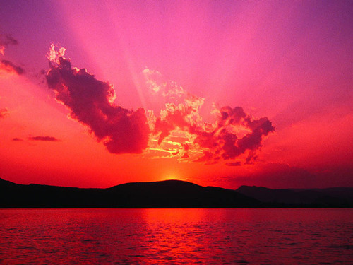 Coaching you to Online Success-We only support Online Businesses with integrity - Internet With Soul; the Law of Attraction, Attraction Marketing & MLM.