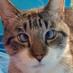 Spangles (@spangles09) Twitter profile photo Spangles (@spangles09) Twitter profile photo