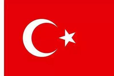 matematikci_ali's profile picture. 