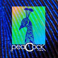 peaCock Club (@peacockclubec) 's Twitter Profile