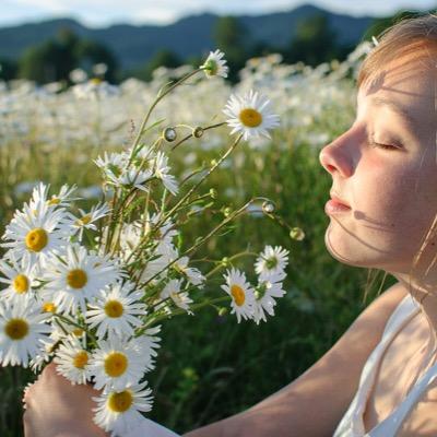 花言葉はイノセンス 卒業のお知らせ 1 4 7 30 土 に行われるモエファーレでのワンマンにて森咲幸陽が卒業し 全ての芸能活動から引退する事となりました 学業が多忙を極め アイドル活動との両立が困難となったのが大きな理由です 急な発表となり