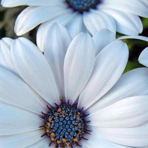 davisbk121's profile picture. 