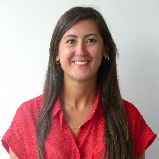 Project Development Manager at the European Forum for Urban Security: Desarrollo - Seguridad Ciudadana. Cooperación Internacional.
