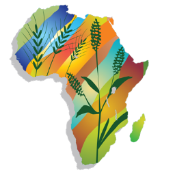 @UNEnvironment #EBAFOSA is the Pan-African Policy Framework & Implementation Assembly for #FoodSecurity #ClimateAction #SDGs for #youth #InnovativeVolunteerism