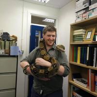 Feargus Fawsitt (@feargusfawsitt) 's Twitter Profile