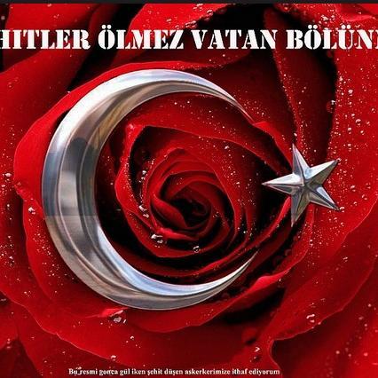 lventino's profile picture. 