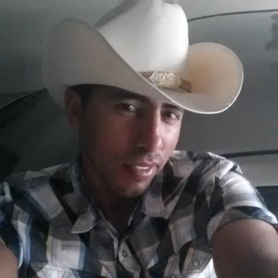 MsdrigalG's profile picture. 