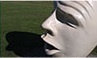 UCDavis_Egghead Profile