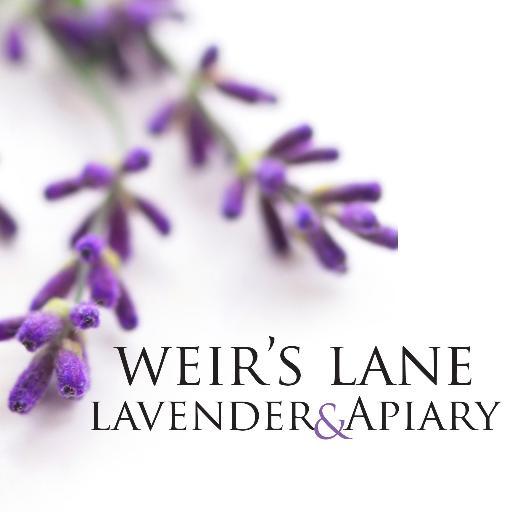 OntarioLavender's profile picture. Small Batch Manufacturer of Lavender products using natural formulations and pure lavender essential oil from family farms in Canada, New Zealand, and France