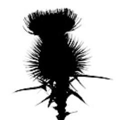ProfLearnScot's profile picture. Ideas, interactions and resources to support the development of Professional Learning in Scottish Education.