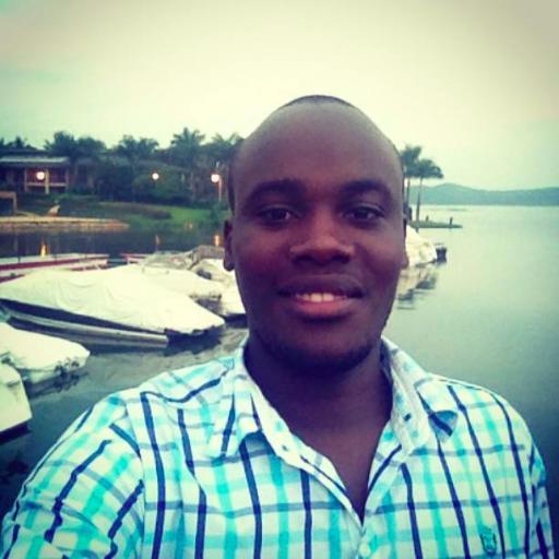 African Wazalendo, Web Developer, Farmer, Programmer, Remote Worker, Entrepreneur.