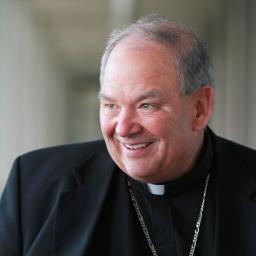 Archbishop of the Archdiocese of Saint Paul & Minneapolis