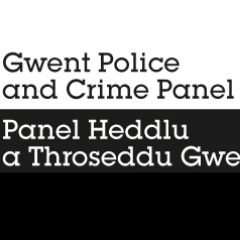 The role of the Police and Crime Panel is to support and challenge the Police Commissioner.