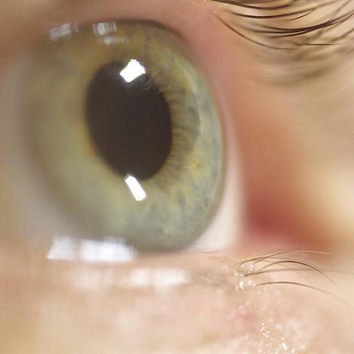 Since 1979, Genovese Ophthalmic Associates has been working with patients to provide the best ophthalmology care for patients in the Kittanning area.