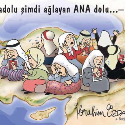 FGokcam's profile picture. 