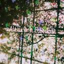 AUTUMN FLOWERS - @AUTUMNOFFICIALL - Twitter