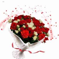 الهواوي (@ak22ak11) Twitter profile photo