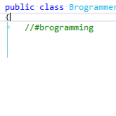 BrogrammerRadio's profile picture. Just brogramming brah