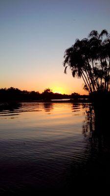 CURI75REY's profile picture. 