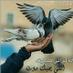 Osama Farouk (@osamaf982) Twitter profile photo Osama Farouk (@osamaf982) Twitter profile photo