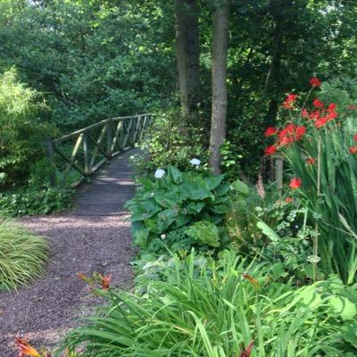 RHS Partner garden, Hardworking family nursery, gardens & tearoom business. Open Tues to Sun 10-5 https://t.co/jtYUJn5ayl. Tel: 01606 888970