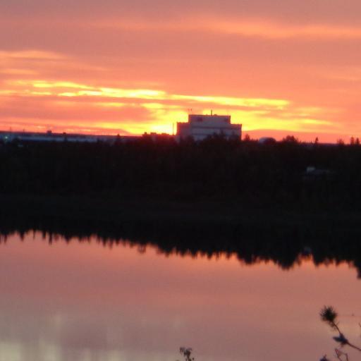 DChiringa's profile picture. 