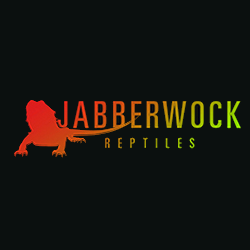 At Jabberwock Reptiles, we love to share our passion for and expertise of reptiles, amphibians, and invertebrates at our Winchester pet store!