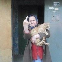 La Loca De Los Gatos (@pirimplimpluda) 's Twitter Profile