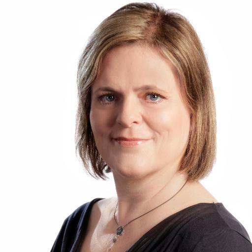 LoneBeheshty's profile picture. Professional Freelance Translator and certified memoQ & SDL Trados Studio Trainer