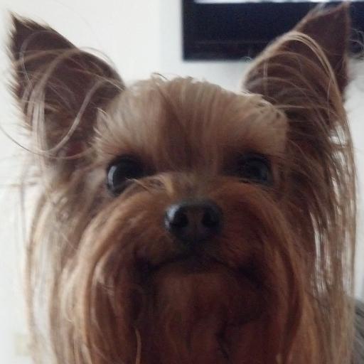 paco_leija's profile picture. 