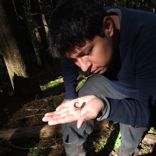 Garambuyo's profile picture. Docente, biólogo y divulgador de la ciencia.
Pokémon Go TL49 +500K
Guía Roji de puestos de comida callejera.
No me gustan los tacos de canasta.