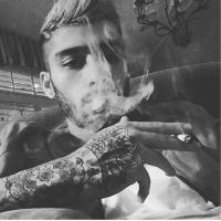 zayn is lit (@zayncravings) 's Twitter Profile