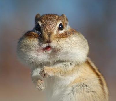 ms_07e's profile picture. 宅録再開しました。soundcloudでゆるゆるUPしてます。見つけてくれたら幸いです。2014年までstoaというバンドおよびms_07e(ソロ)で活動していました。最近はUnwound、Swervedriverをよく聴いています。