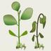 Plant abiotic stress (@plantstress2050) Twitter profile photo Plant abiotic stress (@plantstress2050) Twitter profile photo