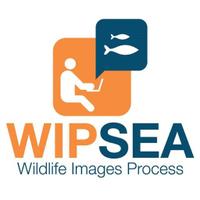 WIPSEA (@wipseawildlife) 's Twitter Profile