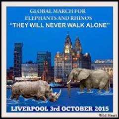 hazeljaynejones's profile picture. 