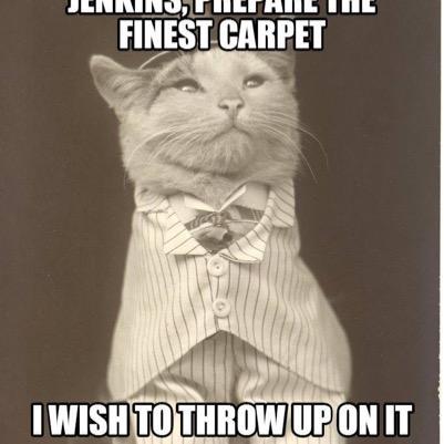 BootsieCat2's profile picture. likes/retweets are not an endorsement.