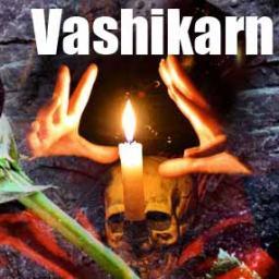 bm521113's profile picture. 