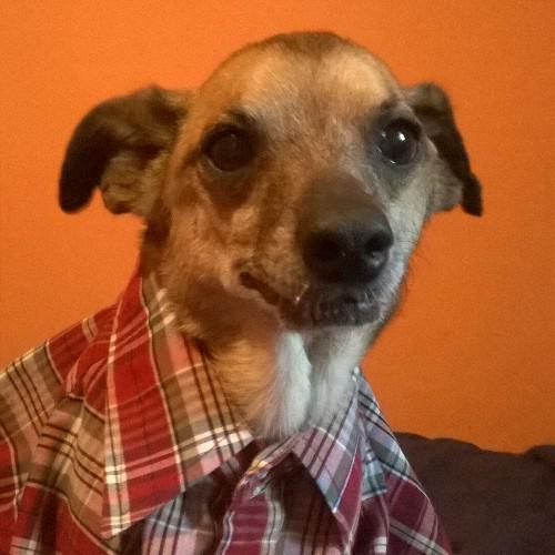 geraldjenkins24's profile picture. 