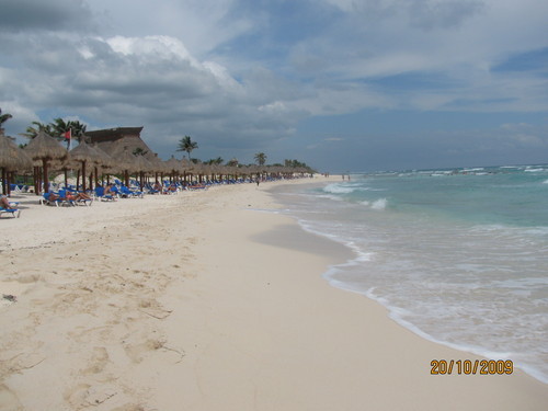 raoveter's profile picture. 