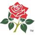 Lancashire Lightning (@lightningt20) Twitter profile photo Lancashire Lightning (@lightningt20) Twitter profile photo