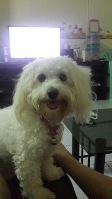 1uQUAqbHVLsb3Or's profile picture. 