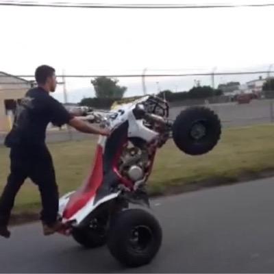 MikeGrecobitch's profile picture. 