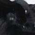 Marley Walker (@marleypusscat) Twitter profile photo Marley Walker (@marleypusscat) Twitter profile photo