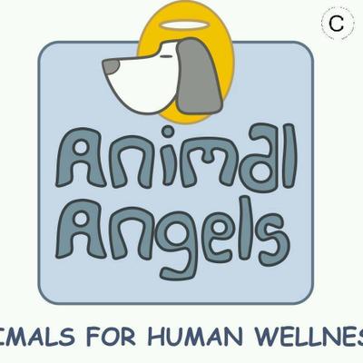 Animal Angels (@AATC_India) / Twitter Animal Angels (@AATC_India) / Twitter