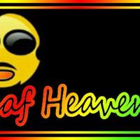 Official Leaf Heaven (@leaf_heaven) 's Twitter Profile