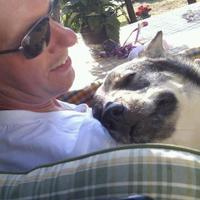 Peter Liljedahl (@peterliljedahl) 's Twitter Profile