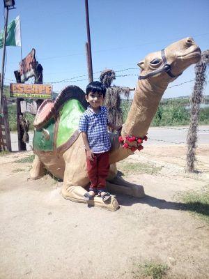 iffatrabia21's profile picture. 